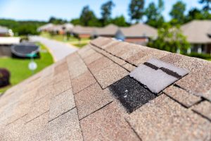 professional roof inspection