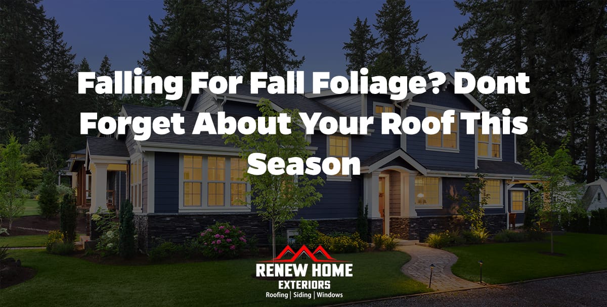 Falling for Fall Foliage? Dont Forget About Your Roof This Season